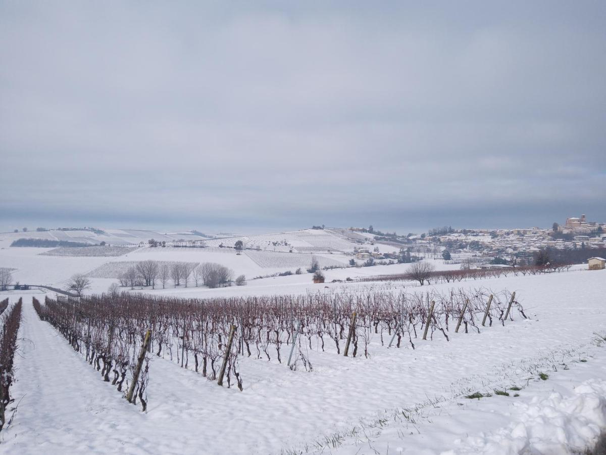 Bed and Breakfast La Culla Di Bacco Castagnole Monferrato Exterior foto